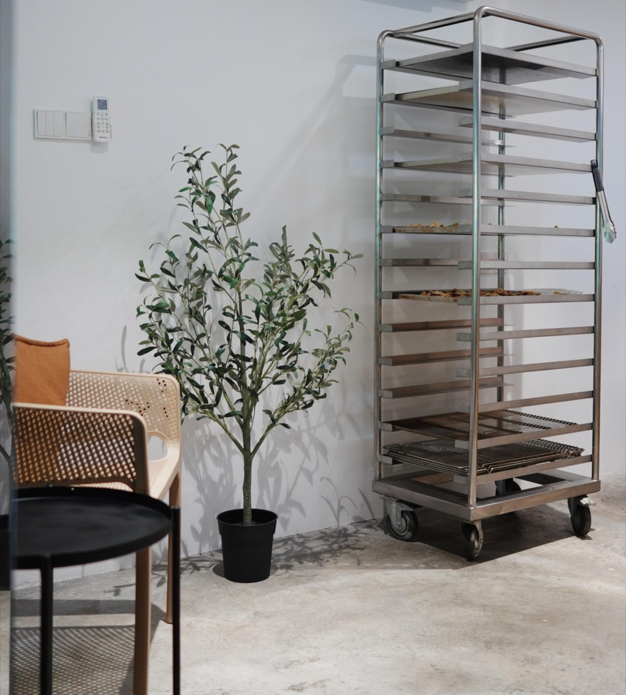Inside the LITO bakery café in Bangsar: bread racks and an olive tree